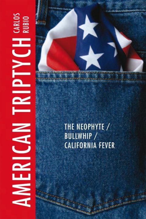 Cover image for book American Triptych