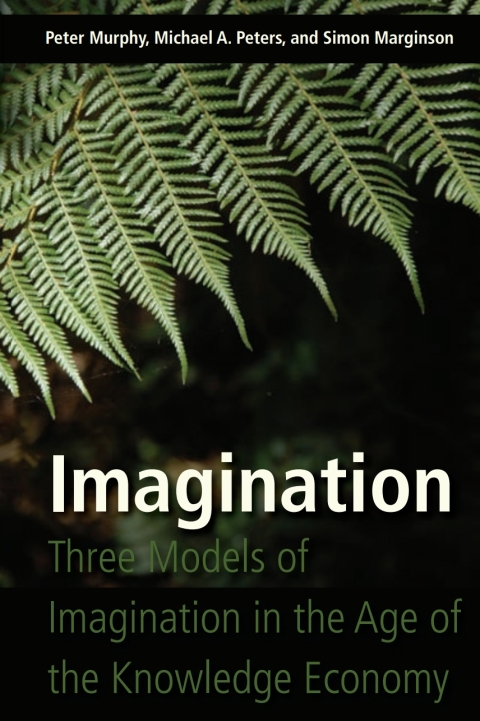 Cover image for book Imagination