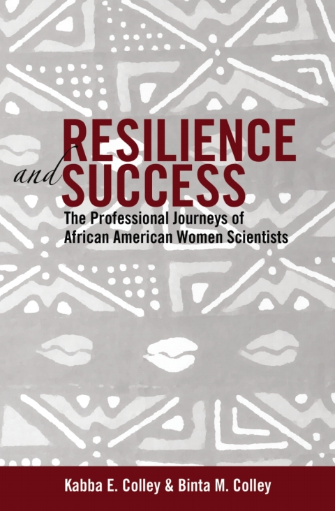 Cover image for book Resilience and Success