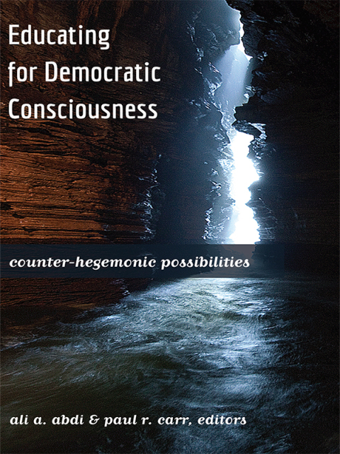 Educating for Democratic Consciousness 