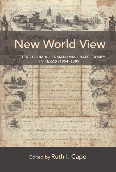 Cover image for book New World View