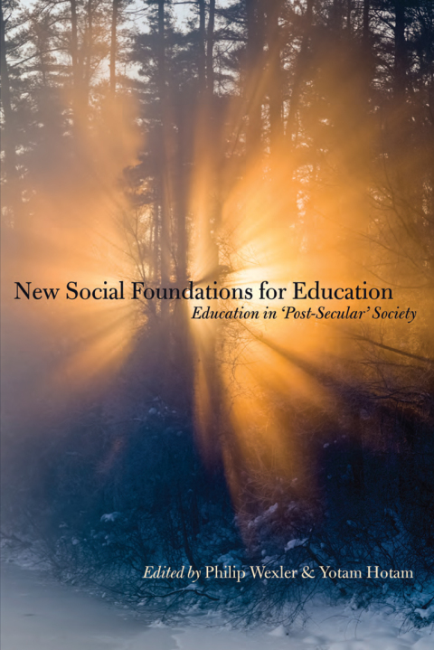Cover image for book New Social Foundations for Education