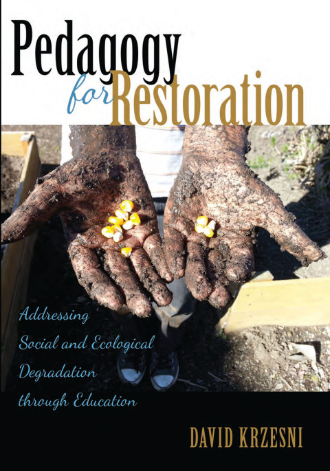 Cover image for book Pedagogy for Restoration