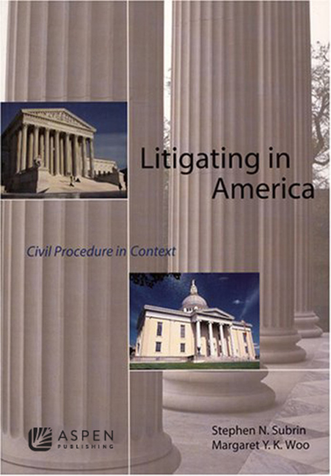 Cover image for book Litigating in America