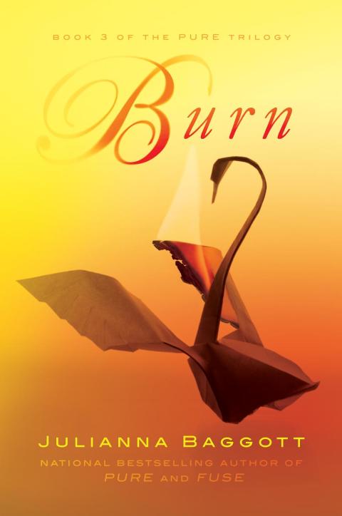Cover image for book Burn
