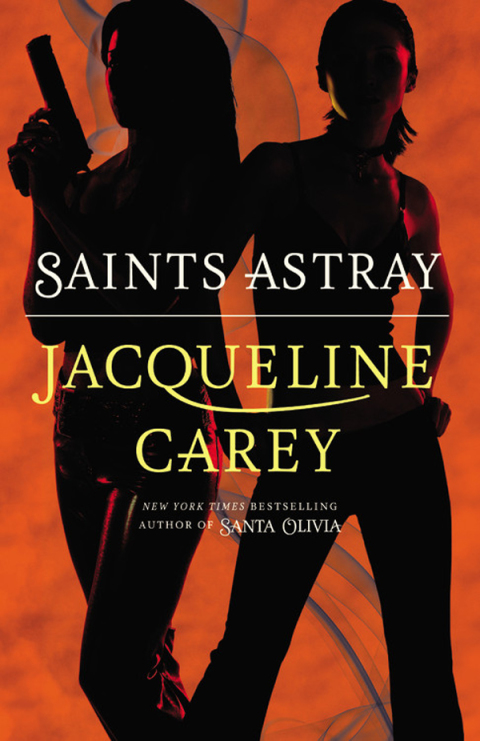 Cover image for book Saints Astray