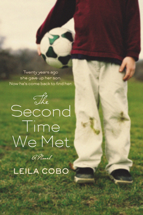 Cover image for book The Second Time We Met