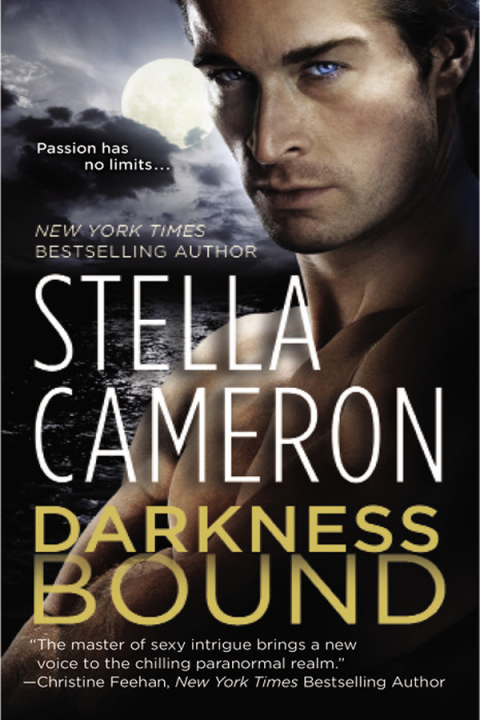 Cover image for book Darkness Bound