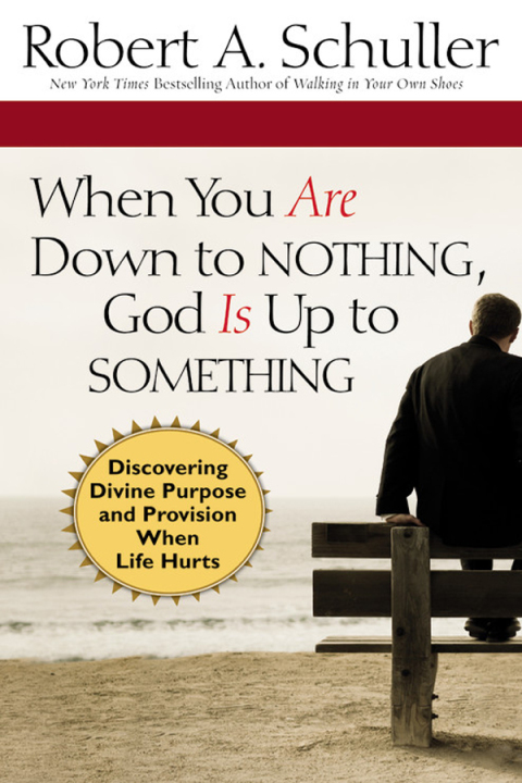 Cover image for book When You Are Down to Nothing, God Is Up to Something