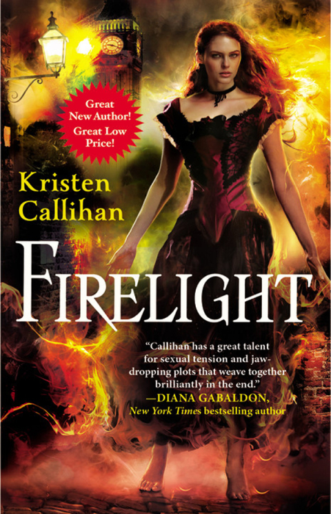 Cover image for book Firelight