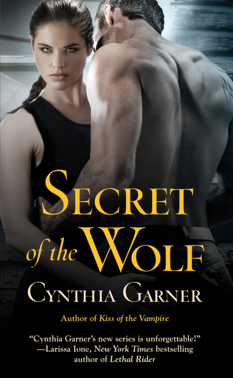 Cover image for book Secret of the Wolf