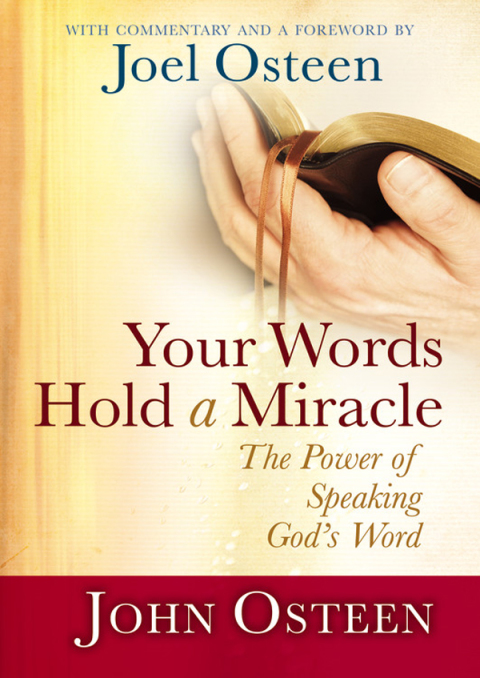 Cover image for book Your Words Hold a Miracle