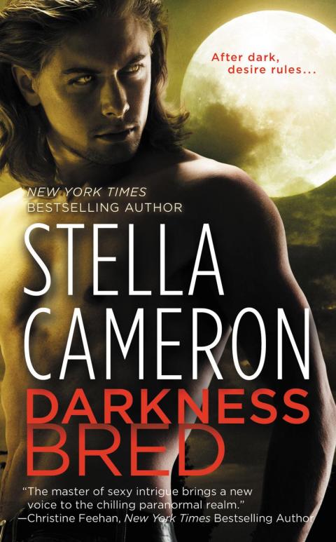 Cover image for book Darkness Bred