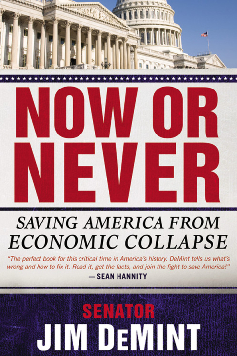 Cover image for book Now or Never