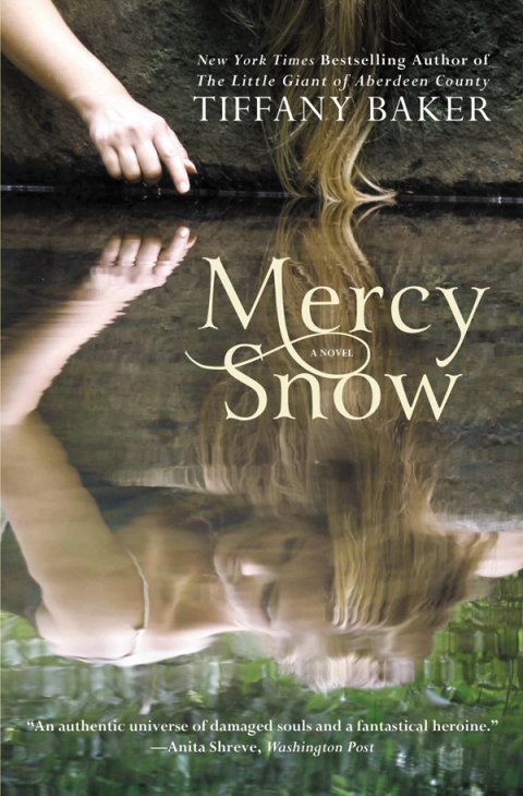 Cover image for book Mercy Snow