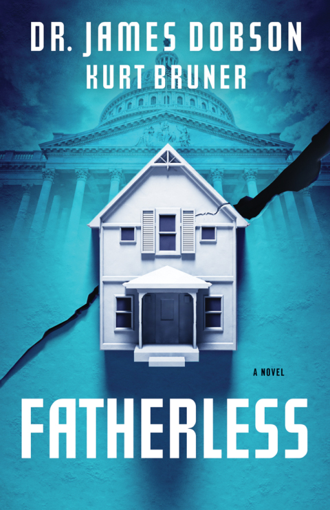Cover image for book Fatherless