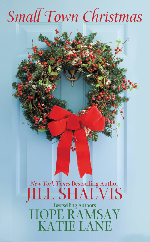 Cover image for book Small Town Christmas