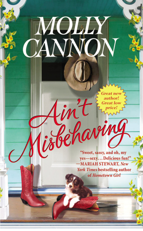 Cover image for book Ain't Misbehaving