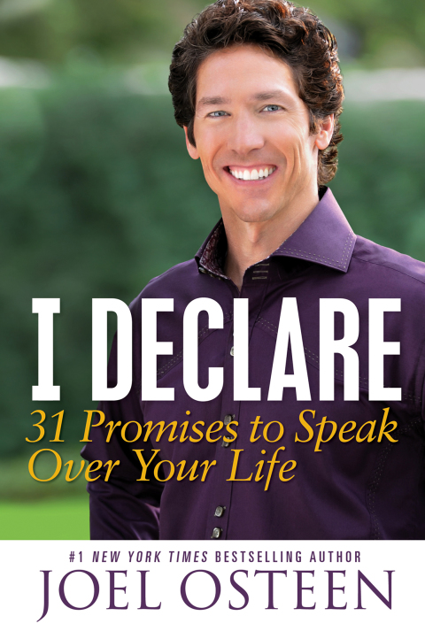 Cover image for book I Declare