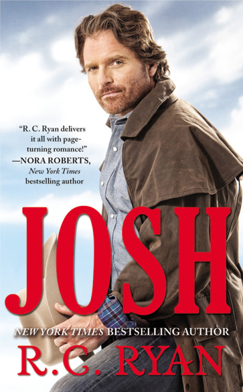 Cover image for book Josh