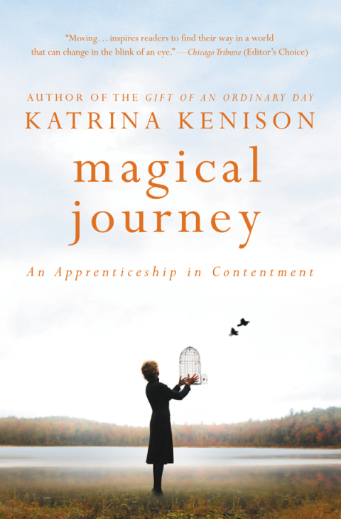 Cover image for book Magical Journey