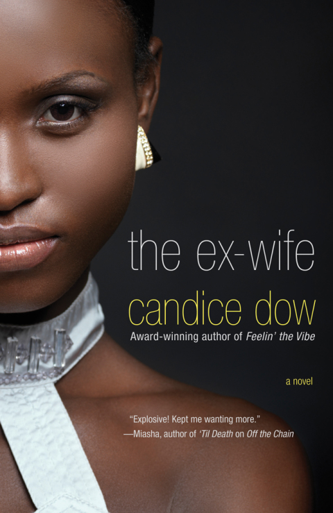 Cover image for book The Ex-Wife