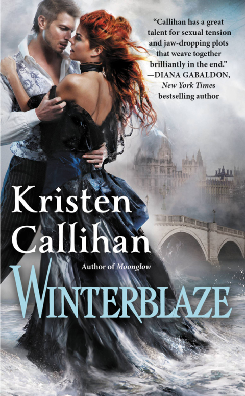 Cover image for book Winterblaze