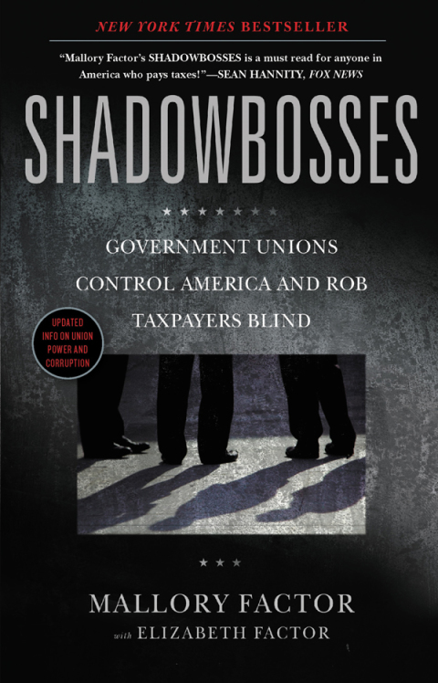 Cover image for book Shadowbosses