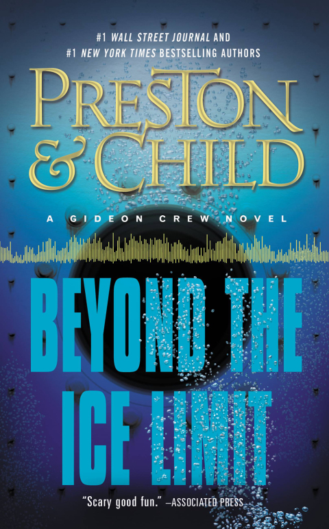 Cover image for book Beyond the Ice Limit