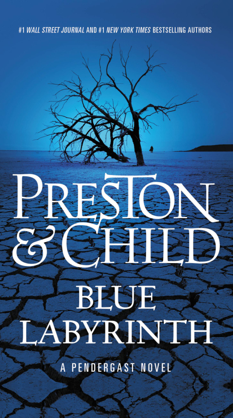 Cover image for book Blue Labyrinth