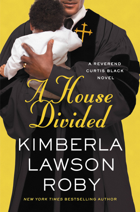 Cover image for book A House Divided
