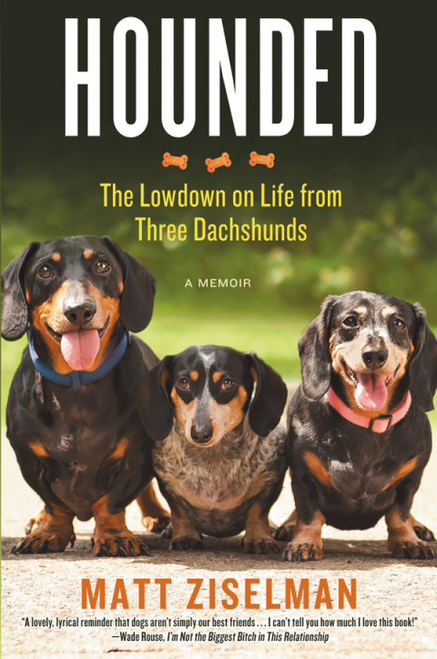 Cover image for book Hounded