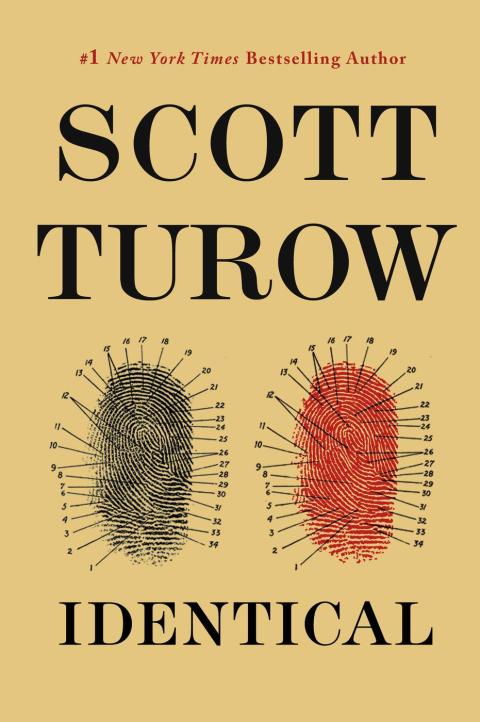 Cover image for book Identical