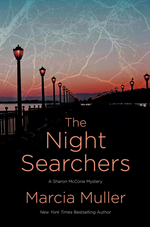 Cover image for book The Night Searchers