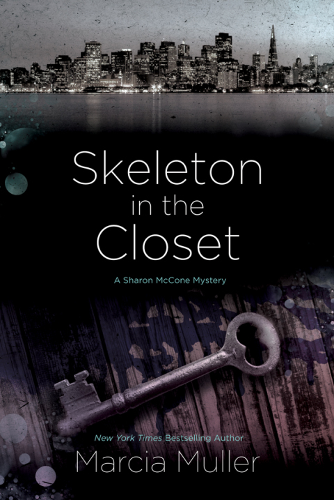 Cover image for book Skeleton in the Closet