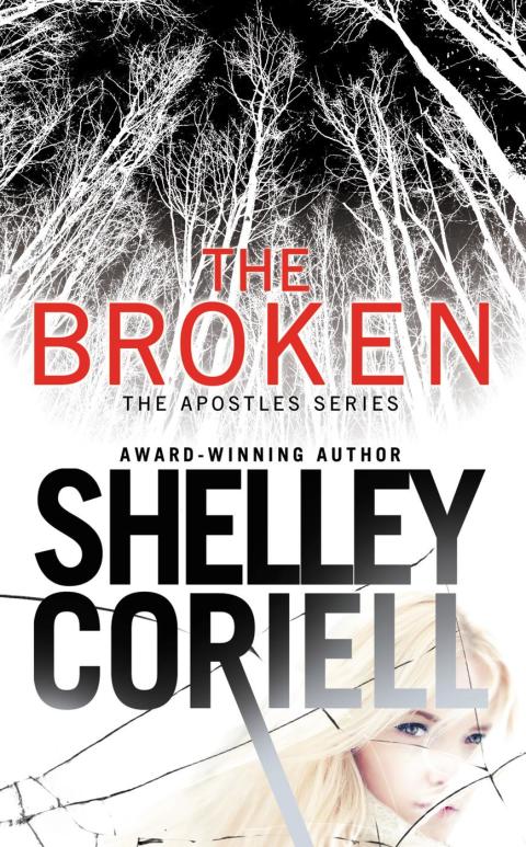 Cover image for book The Broken