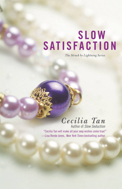 Cover image for book Slow Satisfaction