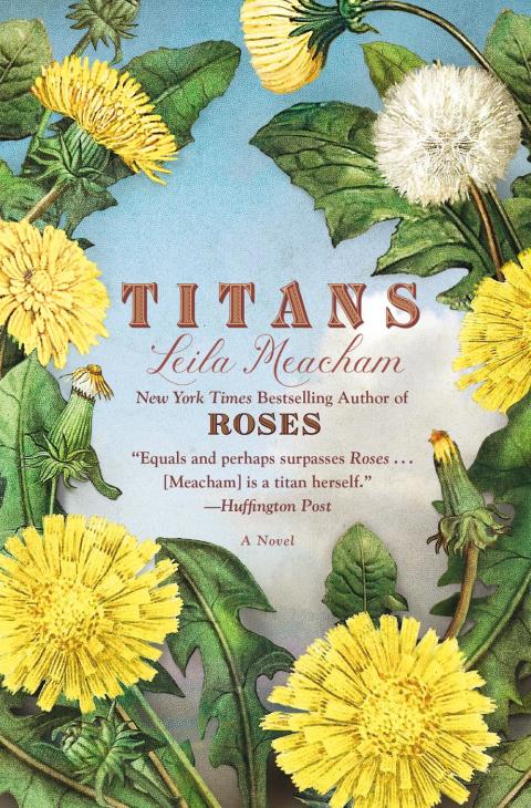 Cover image for book Titans