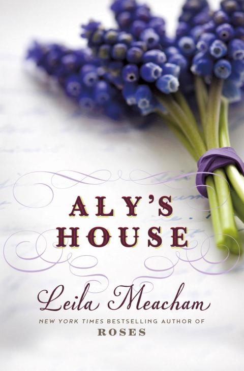 Cover image for book Aly's House