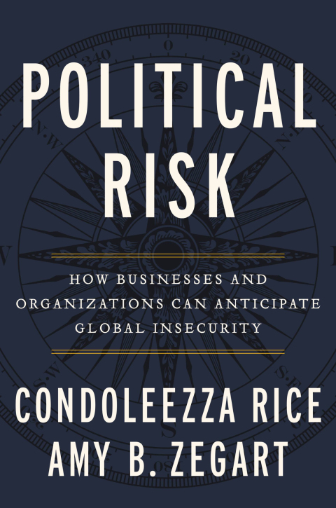 Cover image for book Political Risk