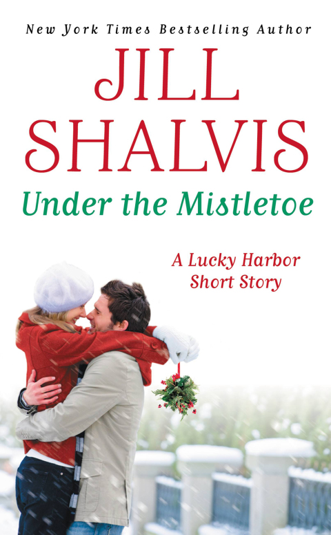 Cover image for book Under the Mistletoe