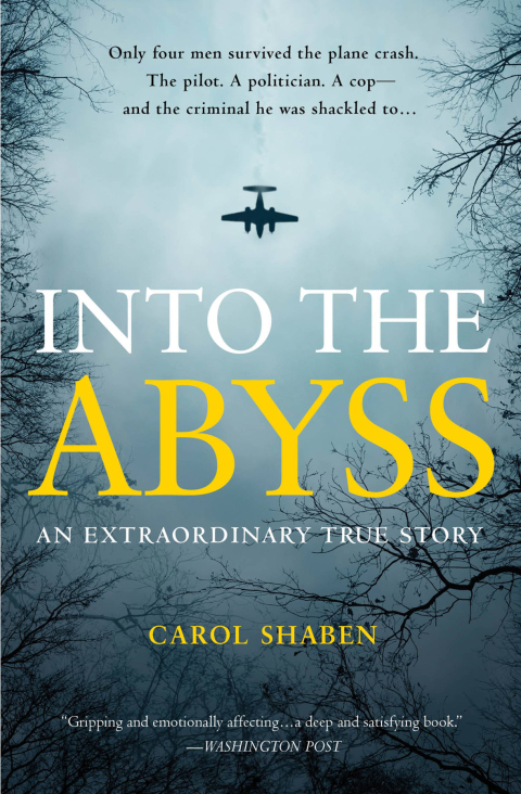Cover image for book Into the Abyss