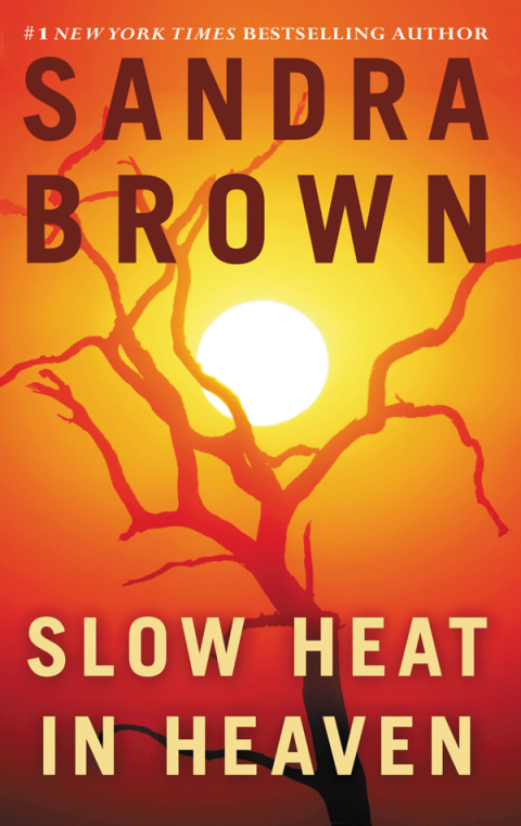 Cover image for book Slow Heat in Heaven