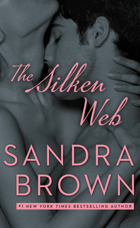 Cover image for book The Silken Web