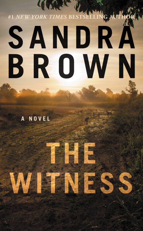 Cover image for book The Witness