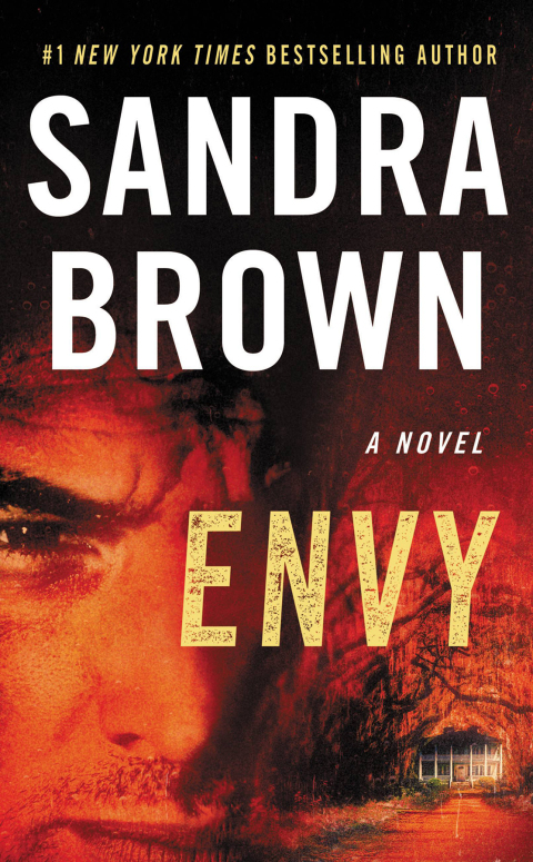 Cover image for book Envy