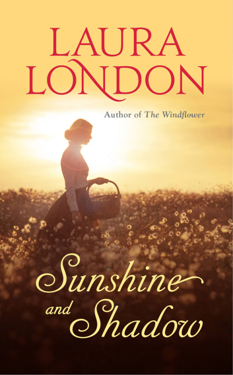 Cover image for book Sunshine and Shadow