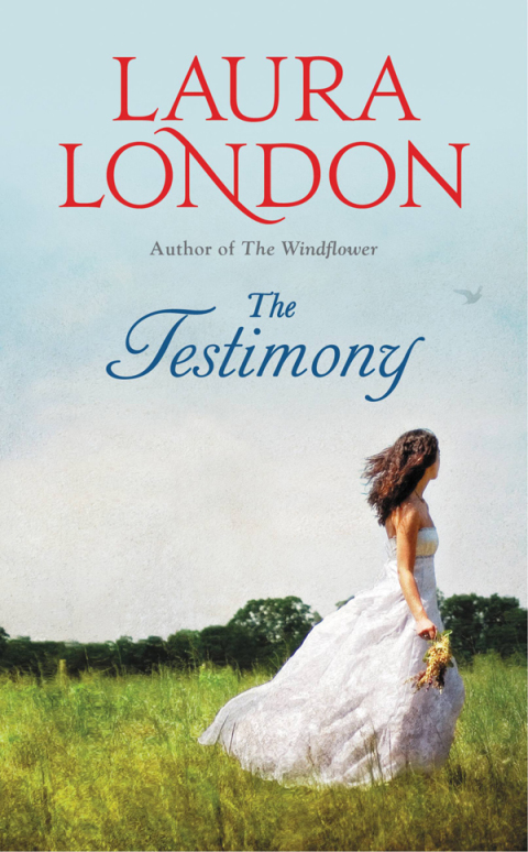 Cover image for book The Testimony