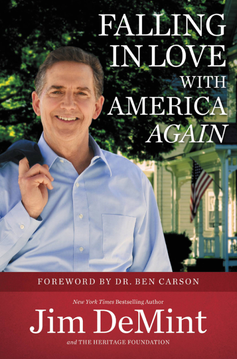 Cover image for book Falling in Love with America Again