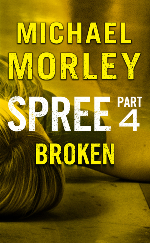 Cover image for book Spree: Broken